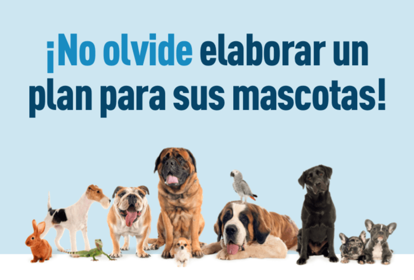 Imágenes de mascotas incluyendo perros, un conejo, un lagarto y un ave