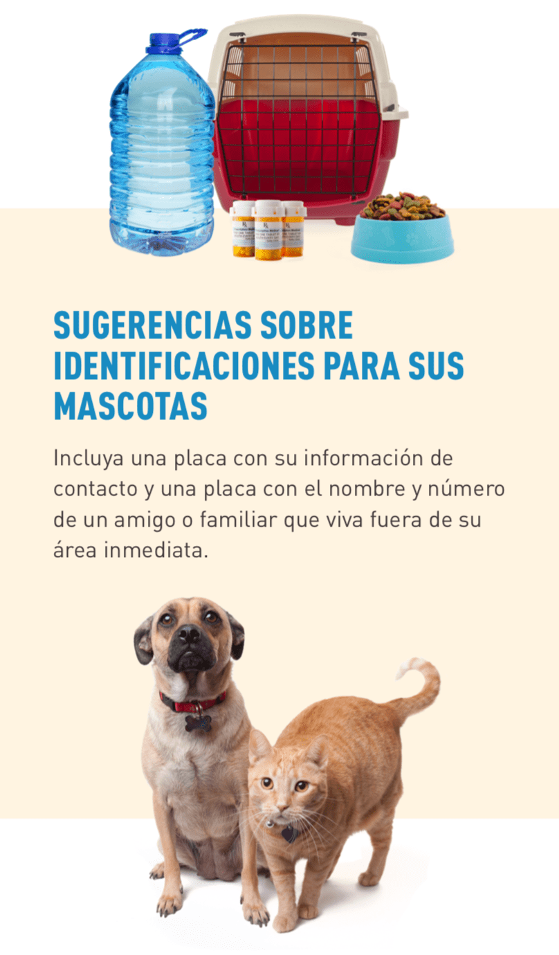 Imagen de artículos de un kit de materiales de emergencia para mascotas, incluyendo agua, medicinas, comida y jaula
