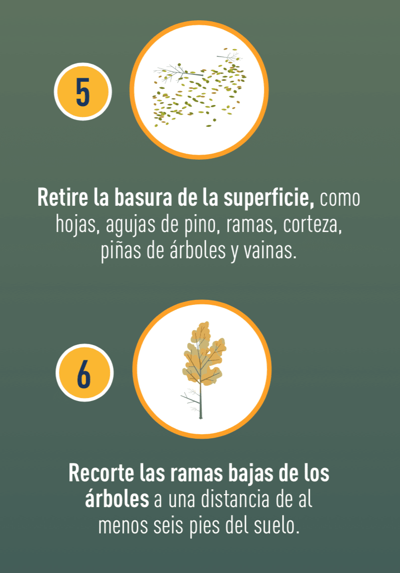 Ícono de hojas y ramas, e ícono de ramas inferiores de un árbol.