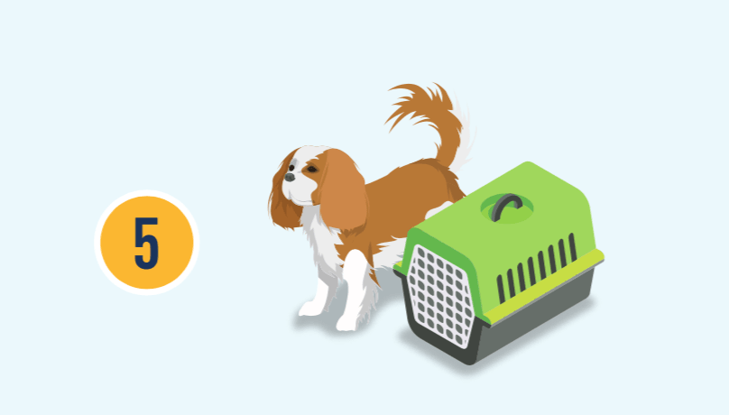 El número cinco con ilustración de un perro y su jaula.