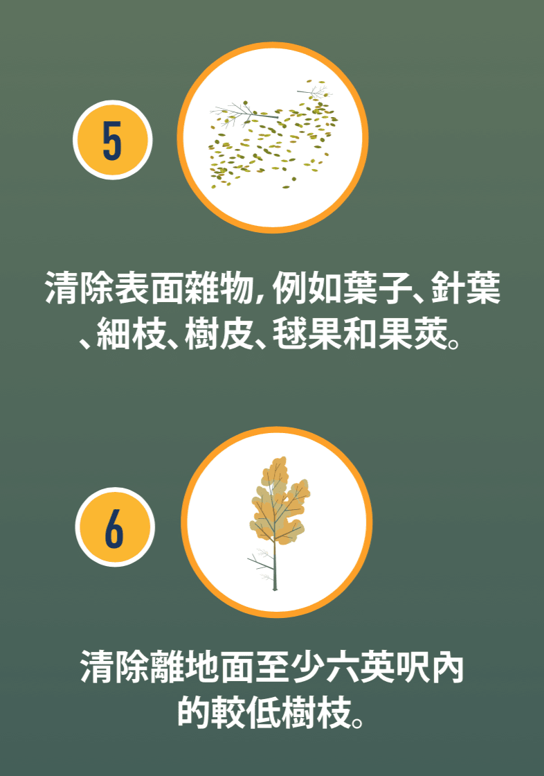 葉子和細枝的圖示,以及較低樹枝的圖示。
