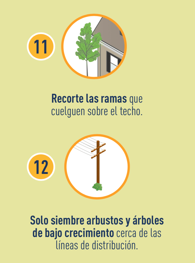 Ícono de ramas colgantes sobre el techo, e ícono de un arbusto bajo cerca de una línea eléctrica.