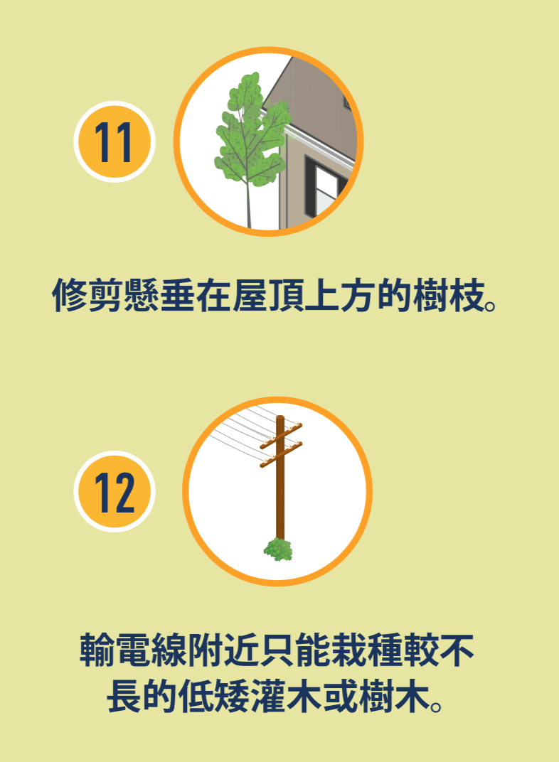 樹枝懸垂在屋頂上方的圖示,以及電線附近有矮灌木的圖示。
