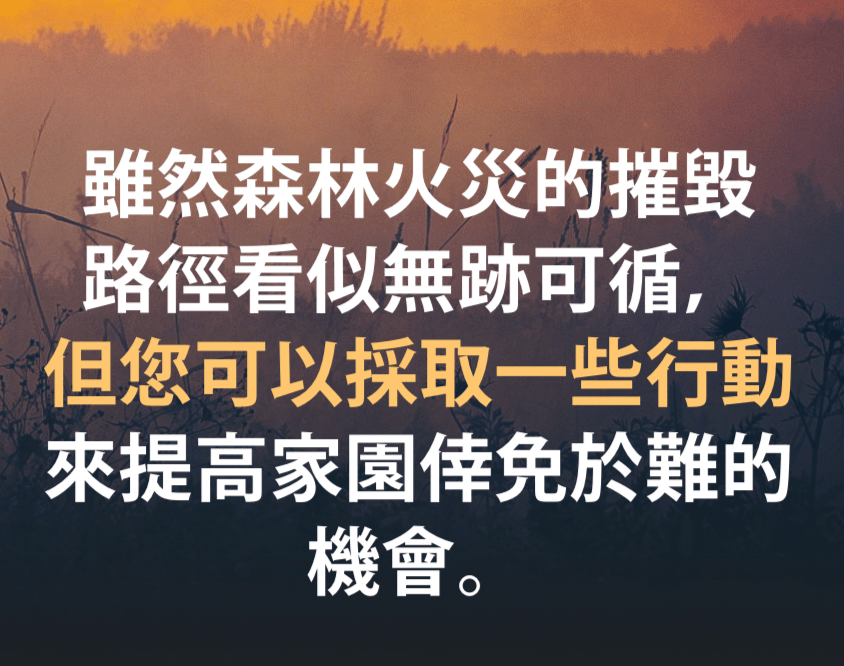 森林火災背景圖片。